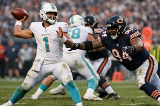 Miami Dolphins vs Chicago Bears Match Player Stats Breakdown